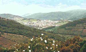 Foto: Vista de Villarta de los Montes
