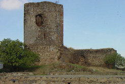 Foto: Restos del castillo de Salvaleón
