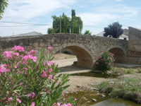 Imgen de: Puente Medieval