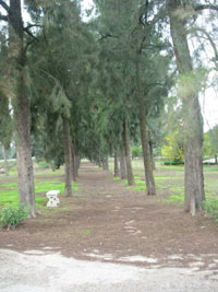 Imgen de: Parque Ronda Sur