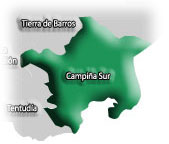 Mapa de la comarca Campia Sur