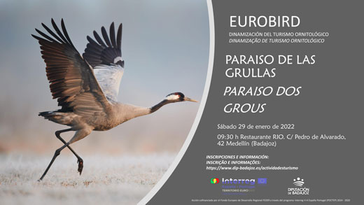 Eurobird. Programa de dinamización de turismo ornitológico: El paraiso de las grullas