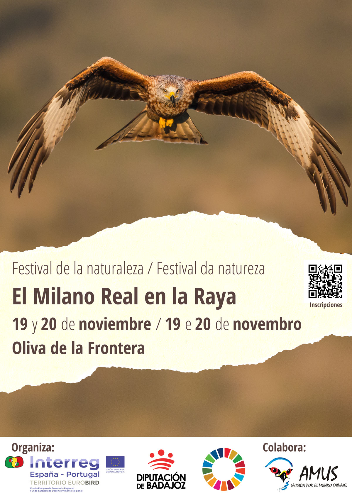 EUROBIRD. FESTIVAL DE LA NATURALEZA "EL MILANO REAL EN LA RAYA