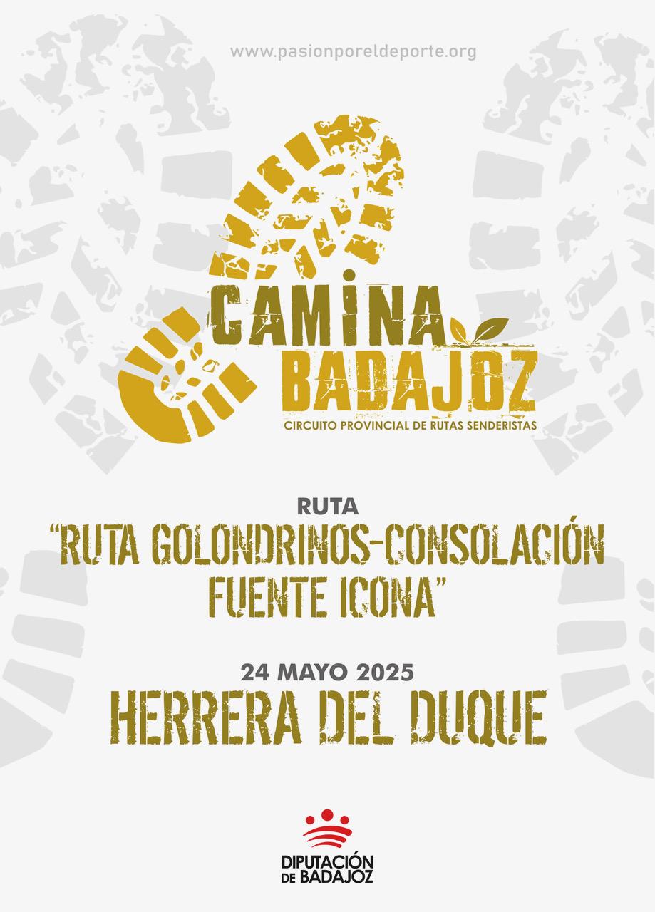 Calendario