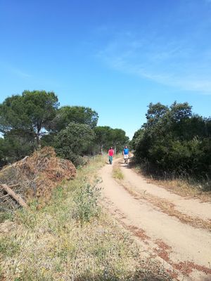 Foto de la ruta