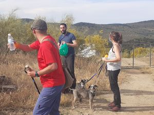Foto de la ruta