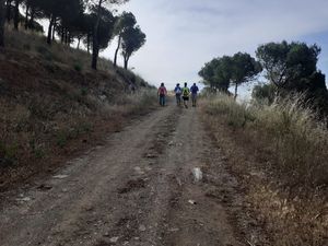 Foto de la ruta