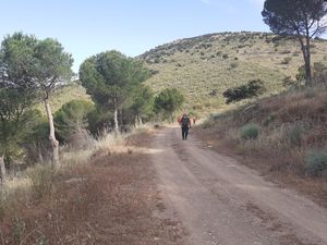 Foto de la ruta