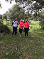 Foto de la ruta