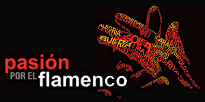 Cartel Pasión por el flamenco