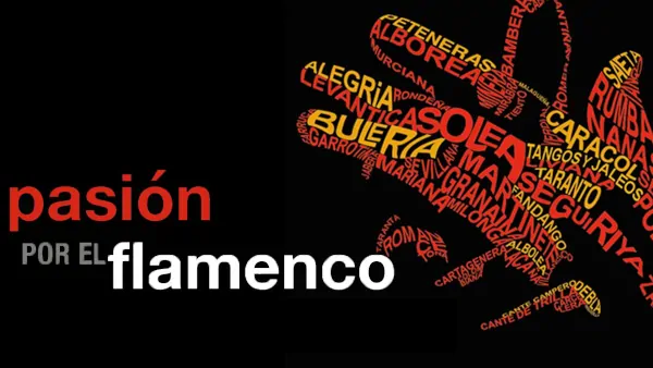 Imagen Pasión por el flamenco