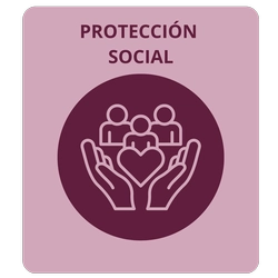 EJE 4 - Protección Social eje_4