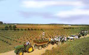 Foto: Camino de San Isidro