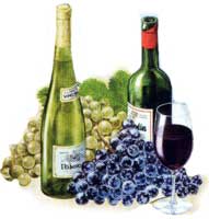 Foto: Vinos