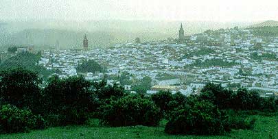 Foto: Vista de Jerez de los Caballeros