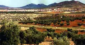 Foto: Vista de Oliva de Mérida