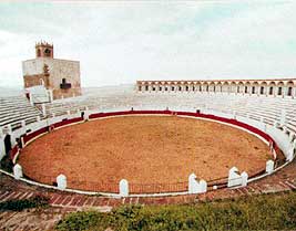 Foto: Castillo y Plaza de Toros