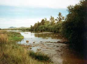 Foto: Paso del Guadiana pro Don Álvaro