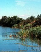 Foto: Río Guadiana