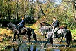 Foto: Rutas a caballo