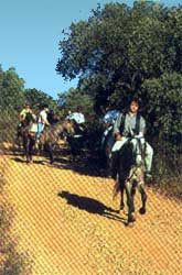 Foto: Rutas a caballo