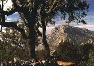 Foto: Sierra de Hornachos