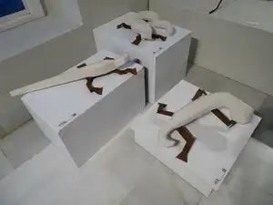 Exposición