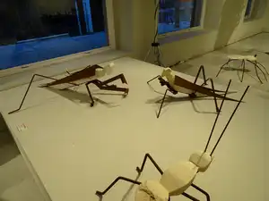 Exposición
