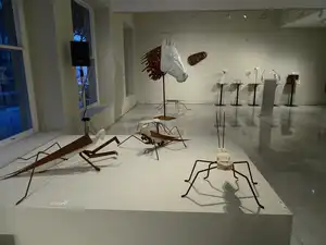 Exposición