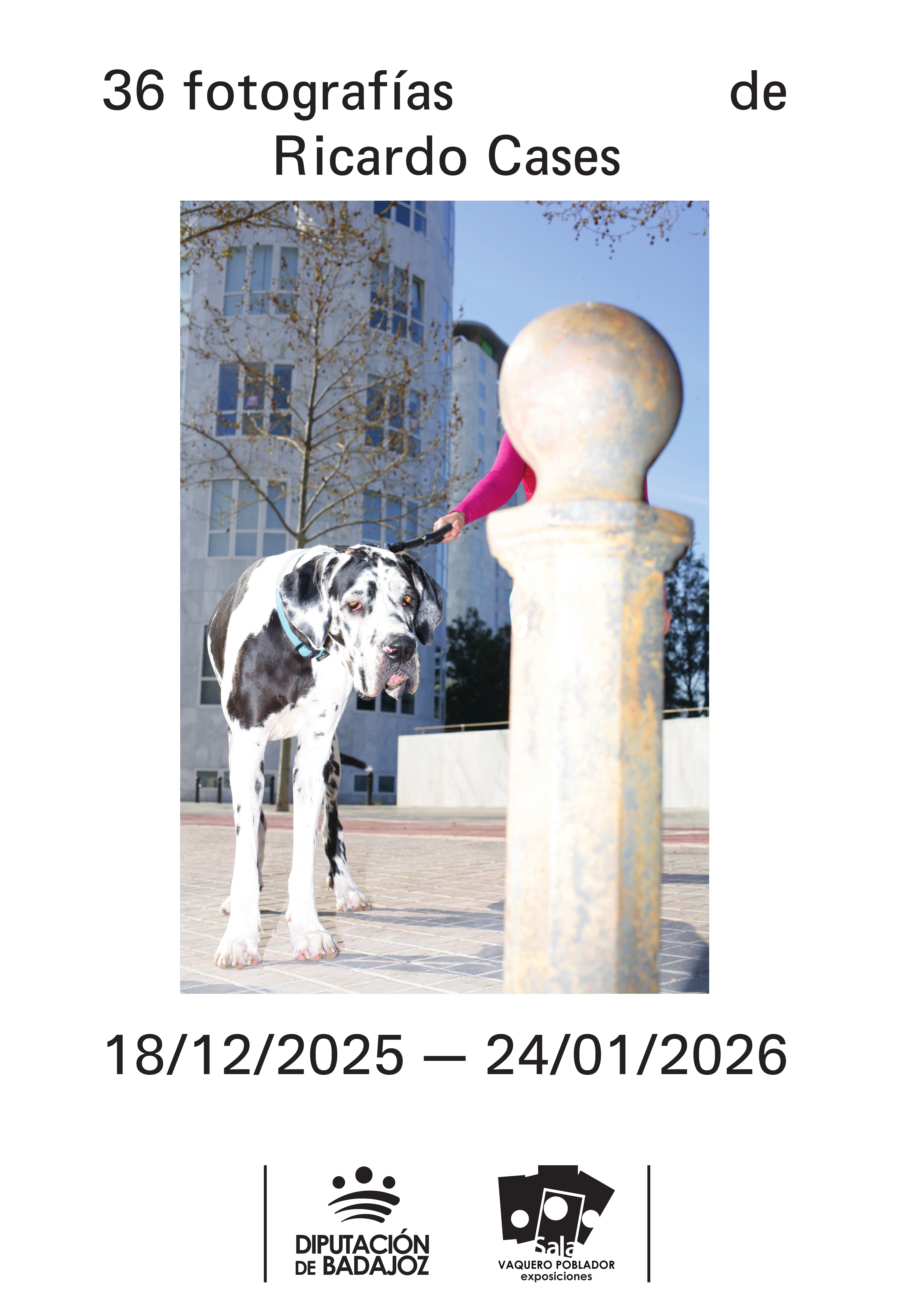 36 fotografías de Ricardo Cases