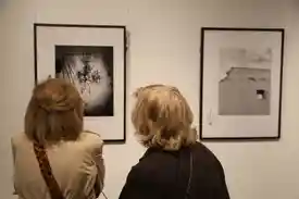 Exposición