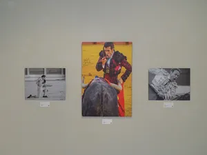 Exposición
