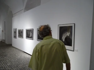 Exposición