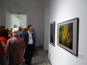 Exposición