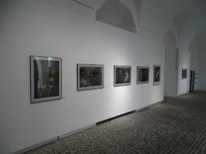 Exposición