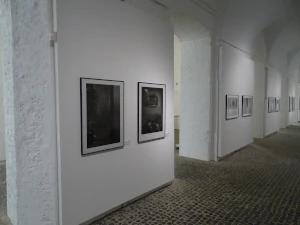 Exposición