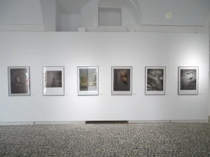 Exposición