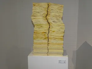 Exposición