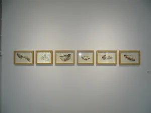 Exposición