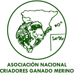 Asociación nacional de criadores de ganado merino