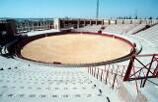 FotoPlaza de toros de Villafranca de los Barros