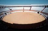 Plaza de toros de Zafra